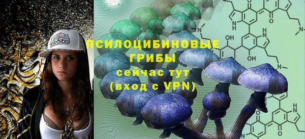 стафф Костерёво
