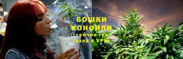 стафф Костерёво