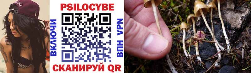 Купить закладки  Гвардейск  Галлюциногенные грибы мухоморы 